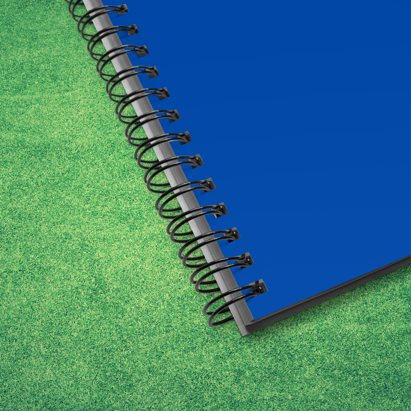 Grudges I Am Currently Holding Notebook