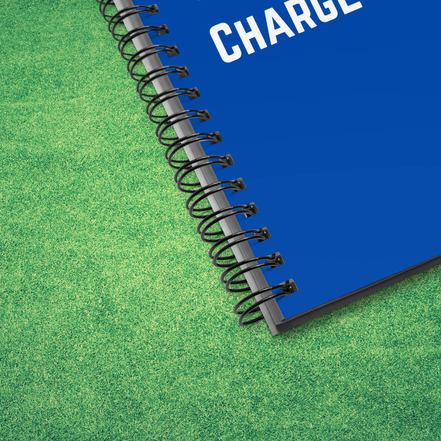 List of Reasons I Should Be In Charge Notebook